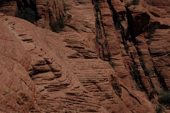 Petrified Dunes